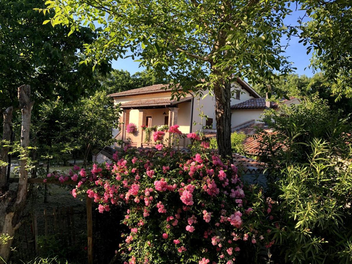 Holiday home Arcadia Spello